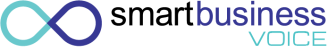 sbvoice logo